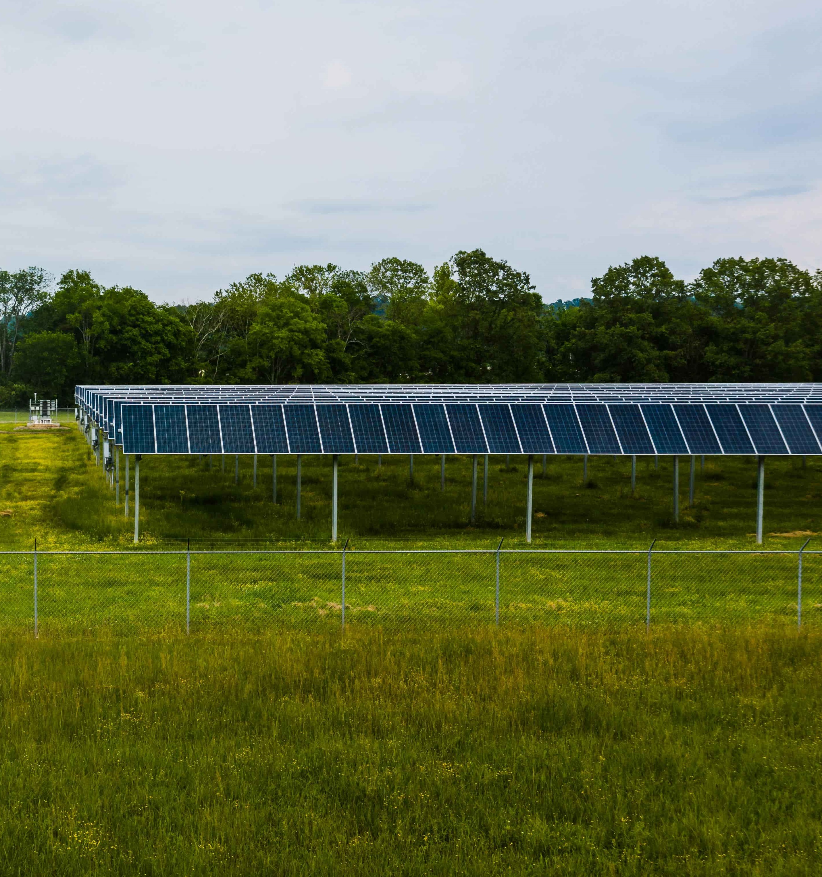 Greenhouse agriculture