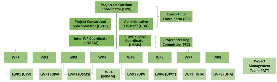 PAVER management structure